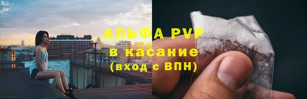 винт Горно-Алтайск
