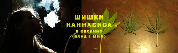 хмурый Вяземский