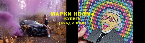 хмурый Вяземский