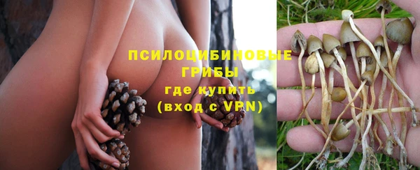 дурь Вязьма